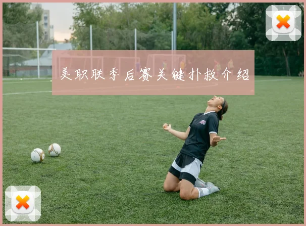 美职联季后赛关键扑救介绍