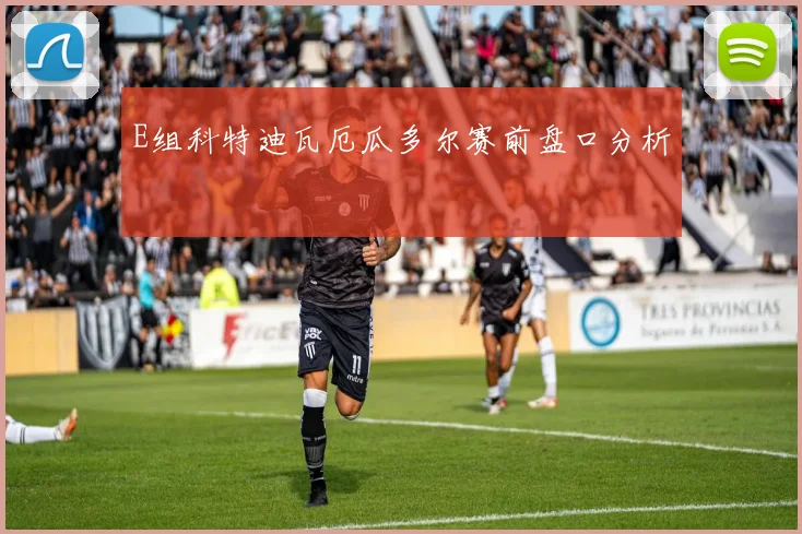 E组科特迪瓦厄瓜多尔赛前盘口分析